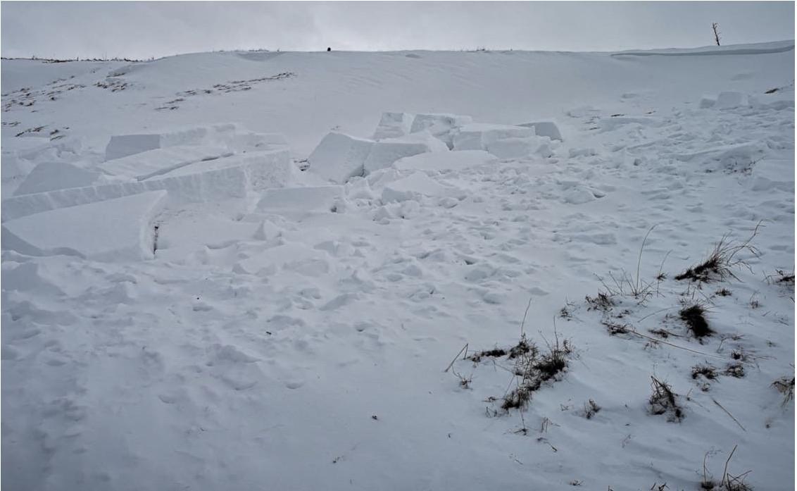 Avalanche in the Scottish Borders